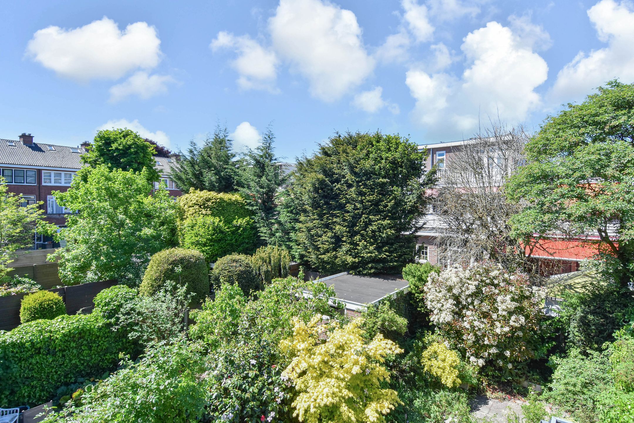 Foto 51 van Schoutenstraat 28