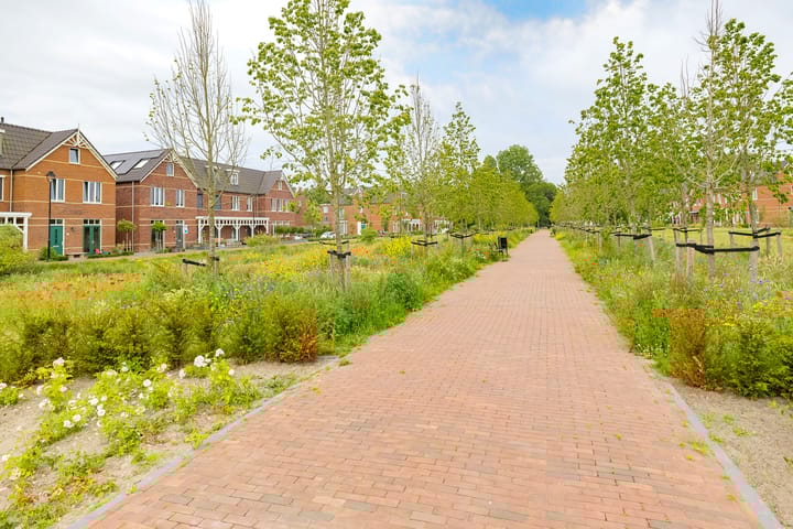 Foto 50 van Sint Bavopark 11