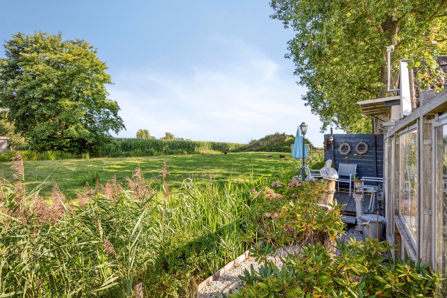 Foto 29 van Hammerdijk 15