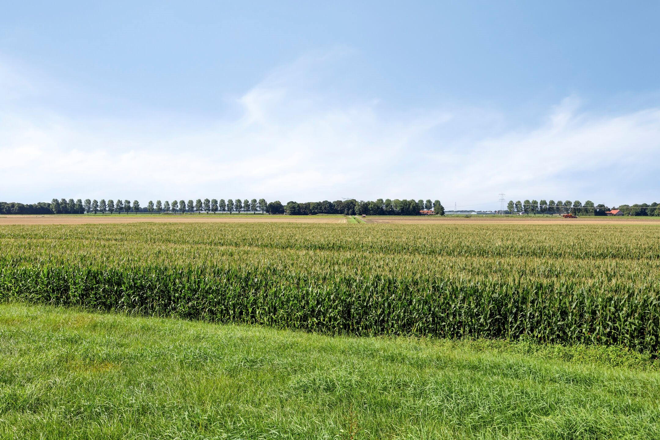 Foto 45 van Hammerdijk 15