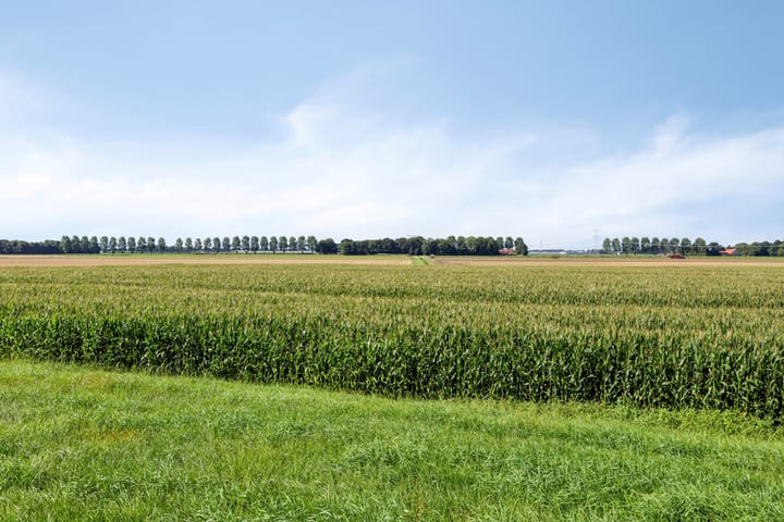 Photo 45 of Hammerdijk 15