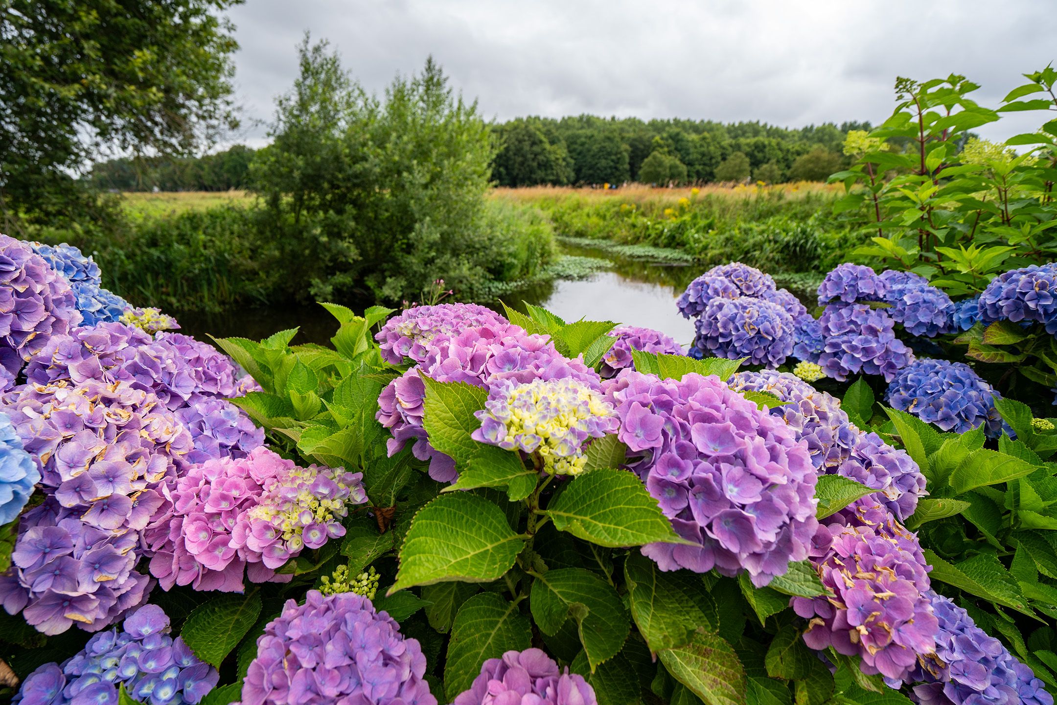 Foto 39 van Jan Altinkhof 18