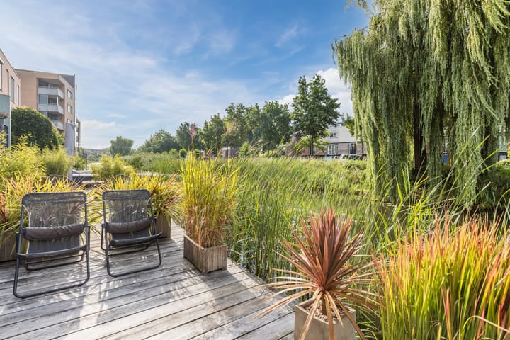 Foto 3 van Gele Plomp 4