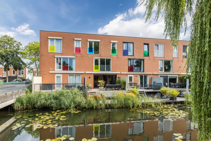 Foto 4 van Gele Plomp 4