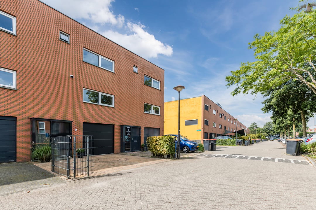 Foto 43 van Gele Plomp 4