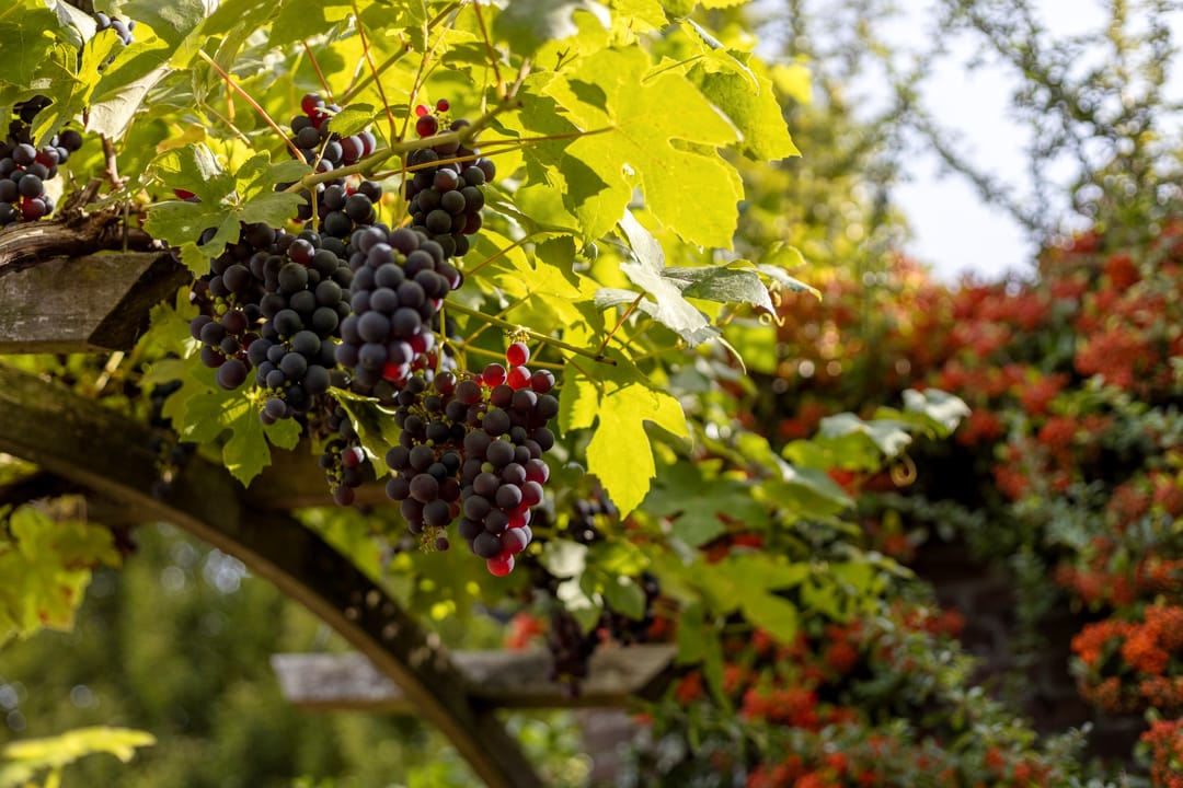 Foto 32 van Beatrixstraat 45