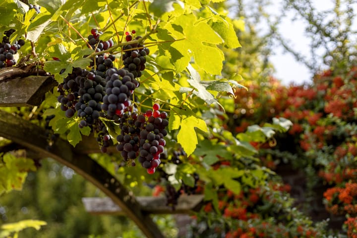 Foto 32 van Beatrixstraat 45