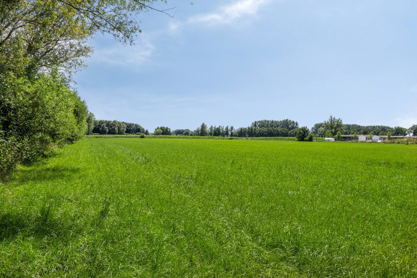 Foto 48 van Sportlaan 2