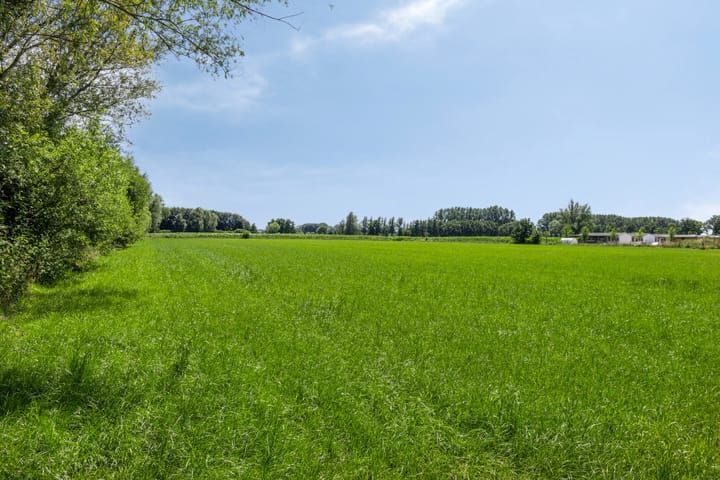 Foto 48 van Sportlaan 2