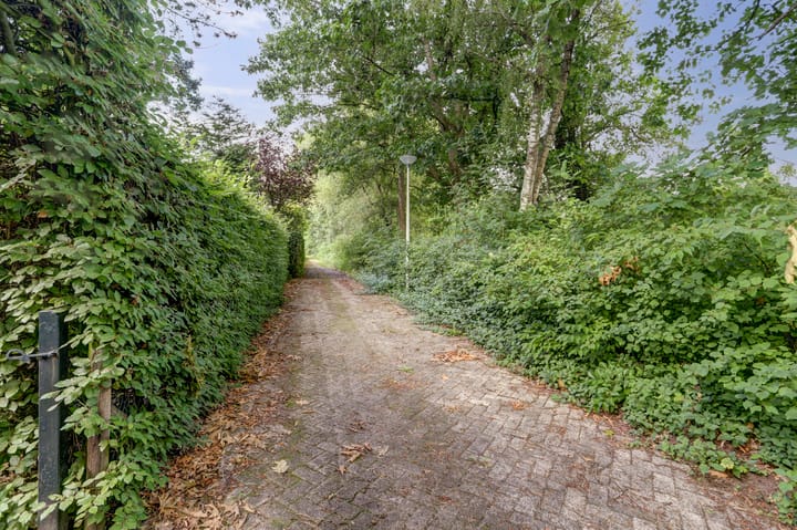 Foto 42 van Derde Zeine 17