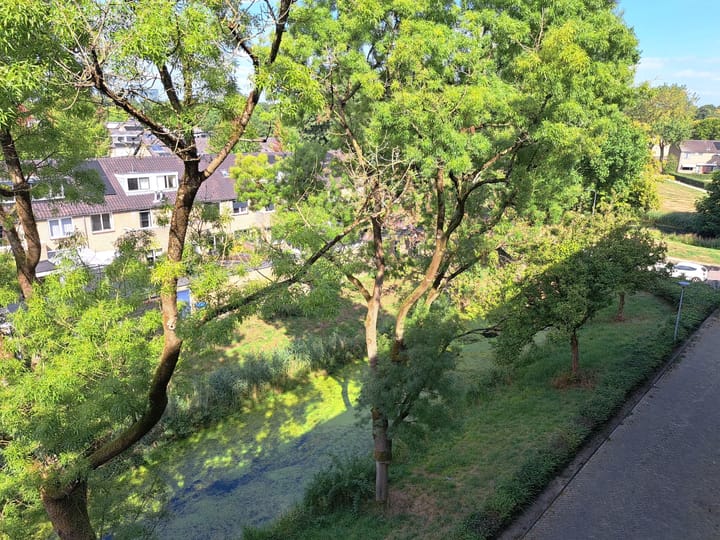 Photo 15 of Lankforst 1150