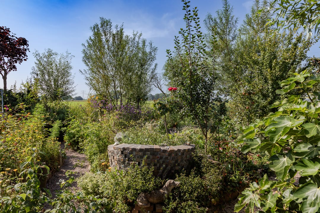 Foto 31 van Lutjewallerweg 10