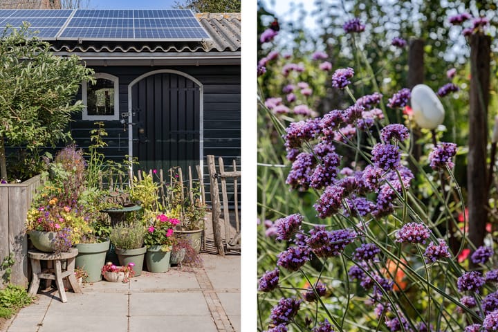 Foto 32 van Lutjewallerweg 10