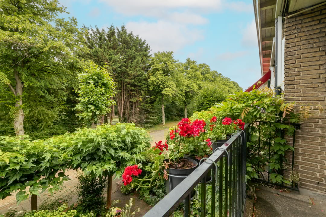 Foto 31 van Prof. Meijerslaan 64