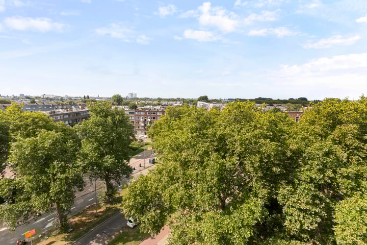 Foto 4 van Stadhoudersplein 107