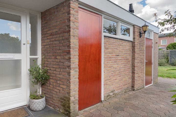 Photo 3 of Wollegras 21