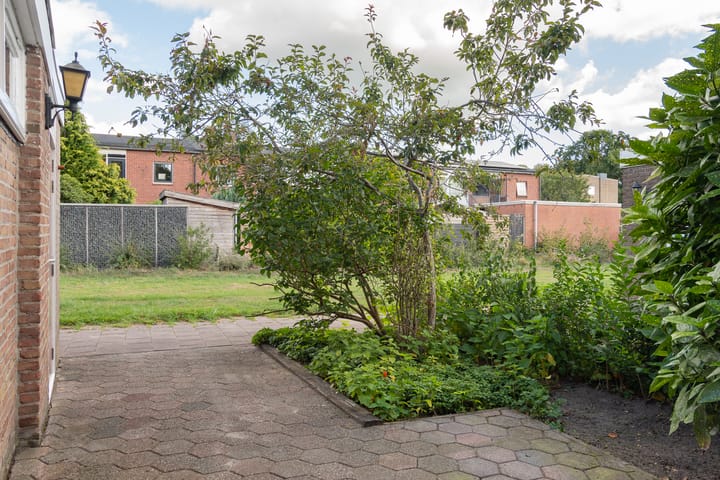 Photo 4 of Wollegras 21