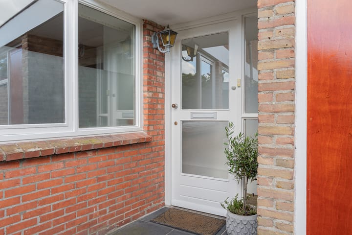 Photo 5 of Wollegras 21