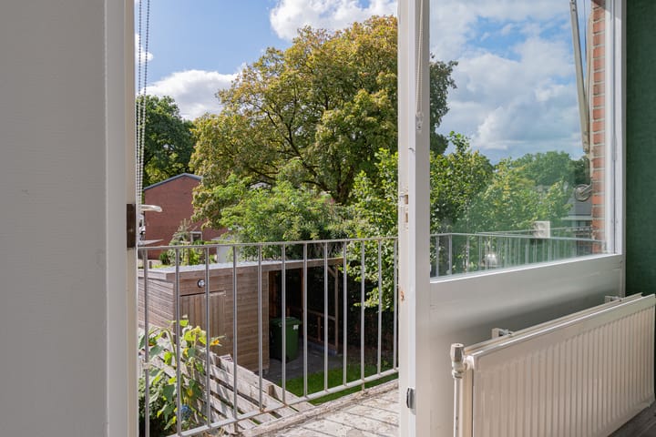 Foto 36 van Wollegras 21