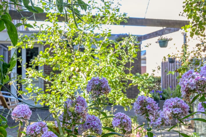 Foto 42 van De Wetterwille 229