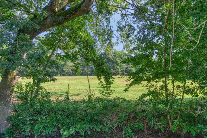 Foto 43 van De Wetterwille 229