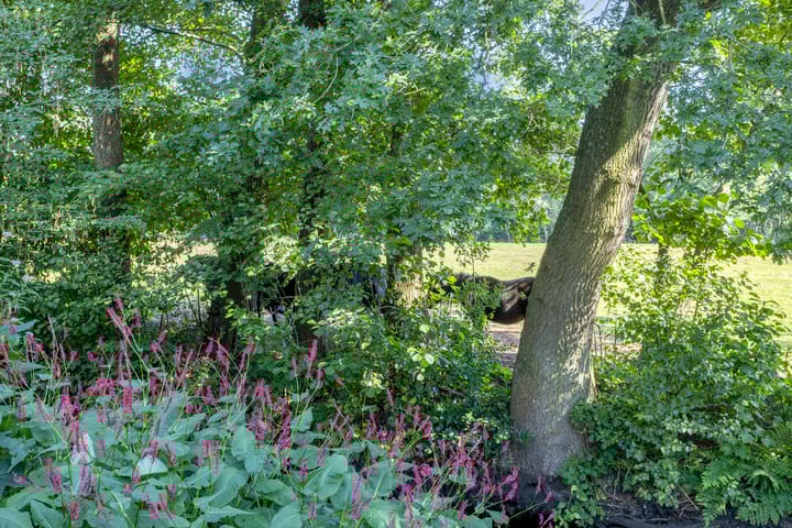 Foto 44 van De Wetterwille 229