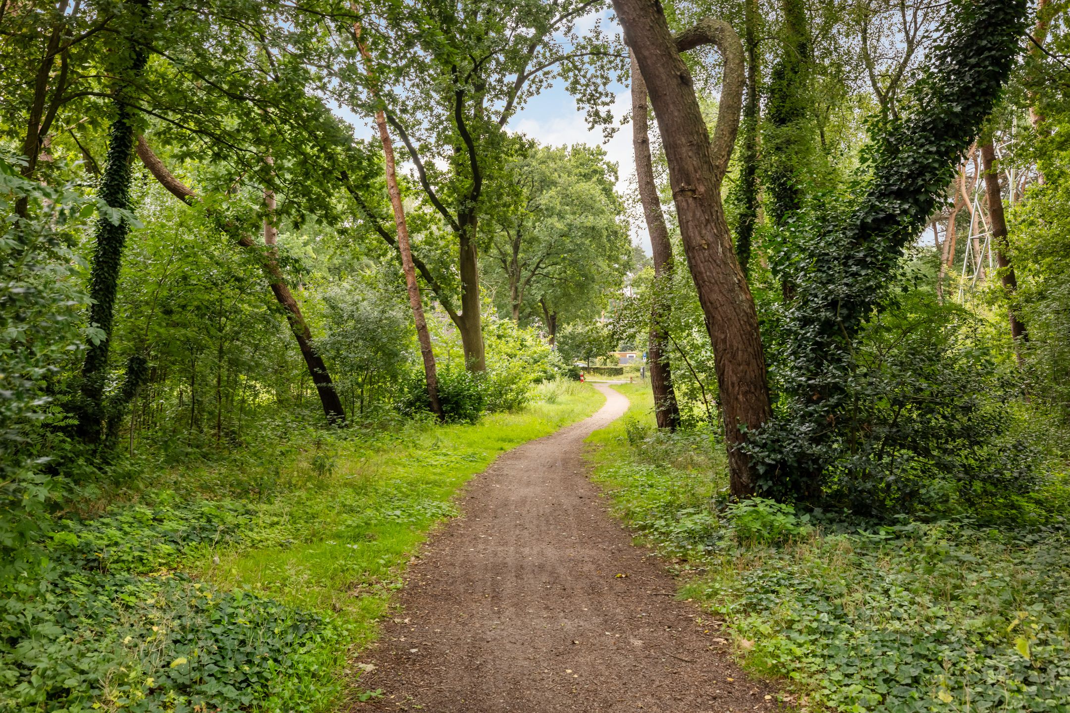 Foto 51 van Kalkoenweg 20