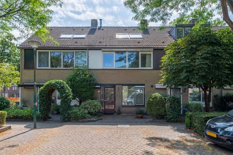 undefined main image