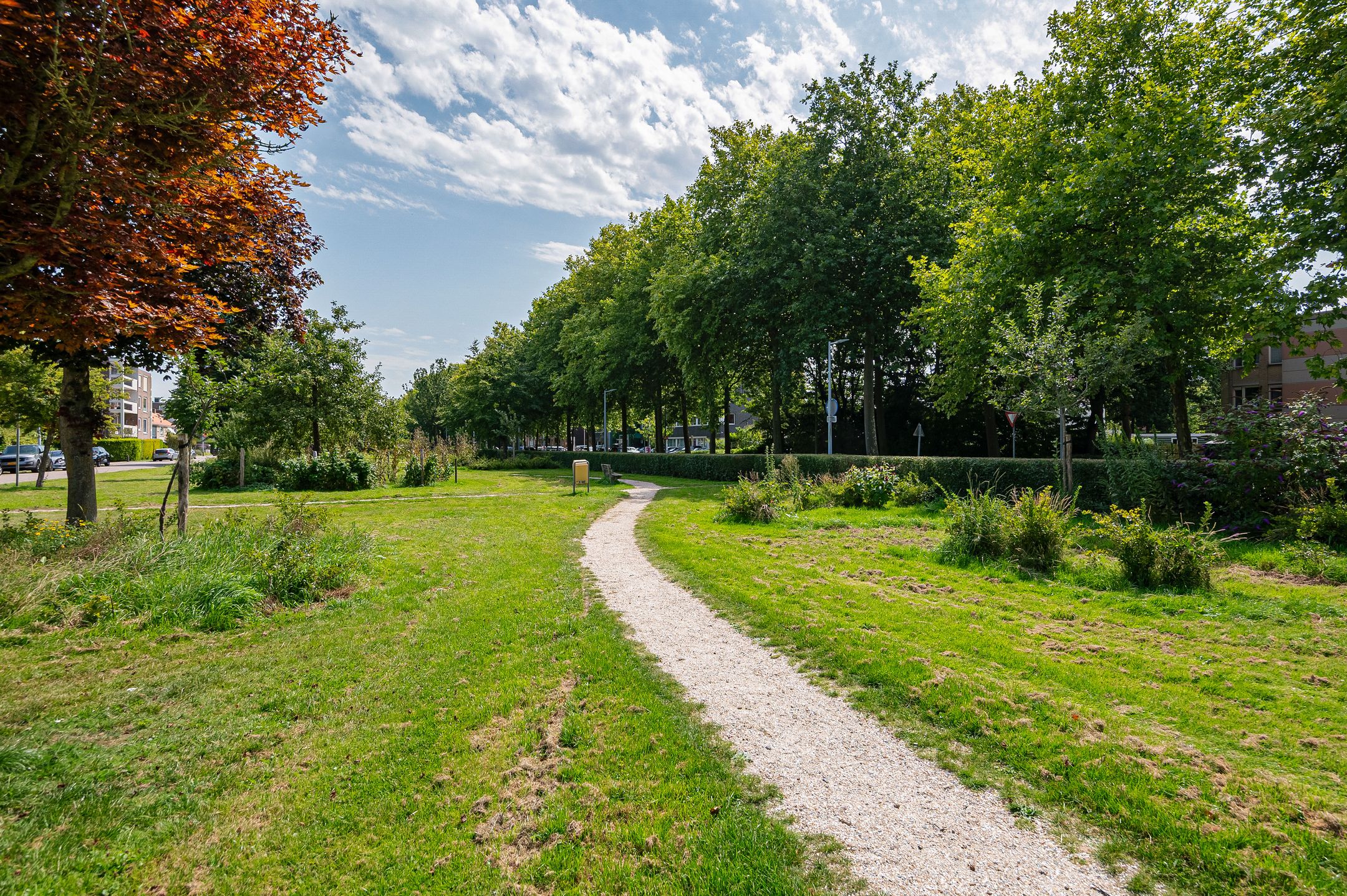 Foto 30 van Wogmeerstraat 5