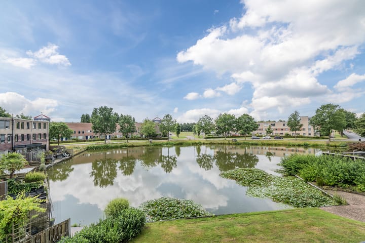 Foto 3 van Fuutmesschen 33