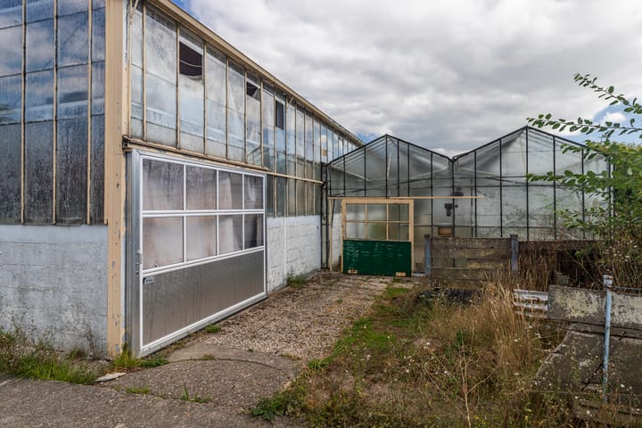 Foto 10 van Uithofslaan 44-A