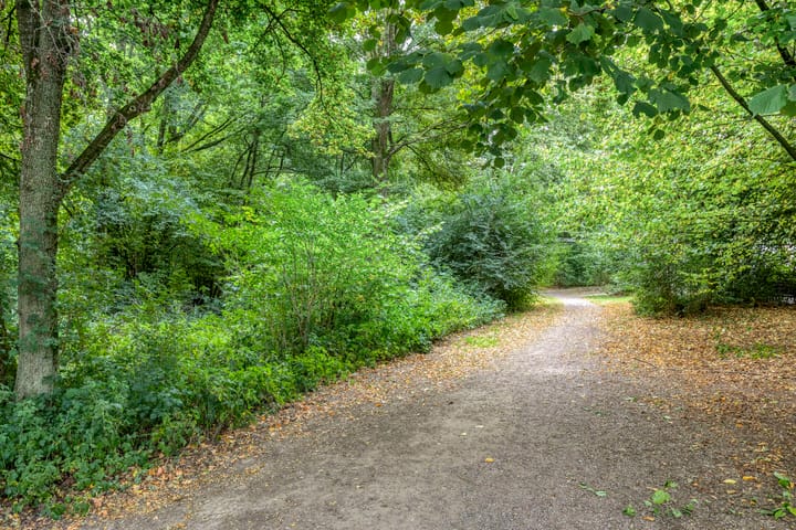 Foto 39 van Pastoor Grimmeltstraat 9