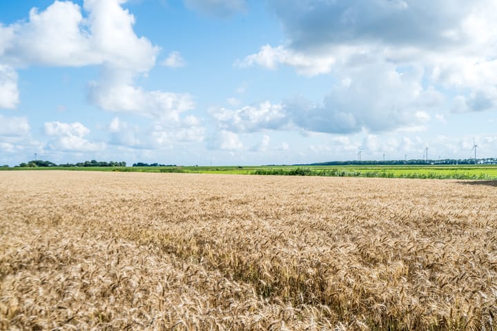 Foto 57 van Noord Zijperweg 13