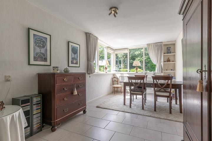 Photo 20 of Laan Blussé van Oud Alblas 1