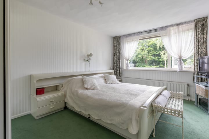 Photo 30 of Laan Blussé van Oud Alblas 1