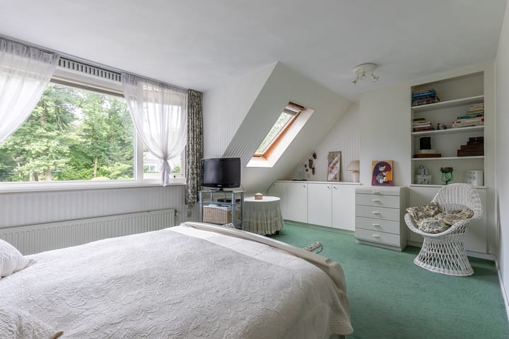 Photo 31 of Laan Blussé van Oud Alblas 1