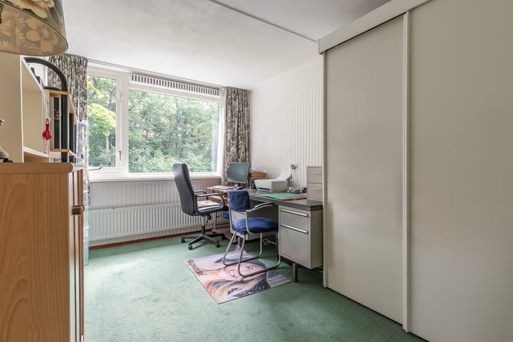 Photo 35 of Laan Blussé van Oud Alblas 1