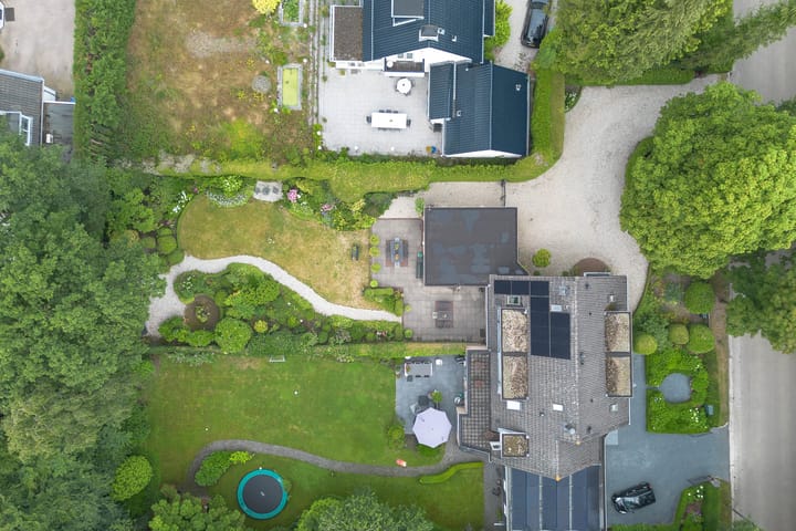 Photo 42 of Laan Blussé van Oud Alblas 1