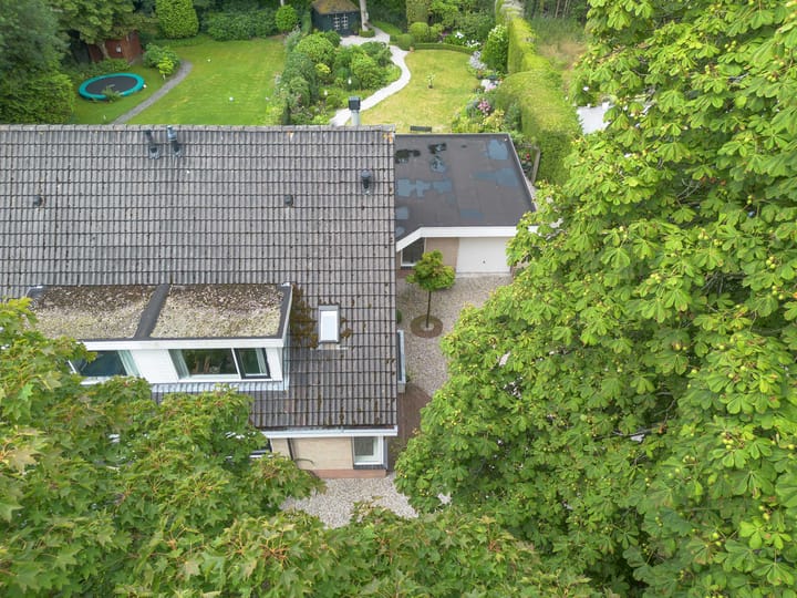 Photo 43 of Laan Blussé van Oud Alblas 1