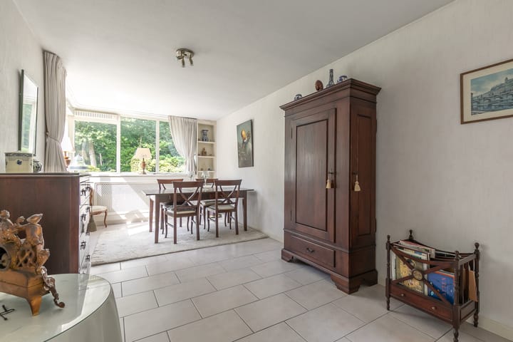 Photo 19 of Laan Blussé van Oud Alblas 1