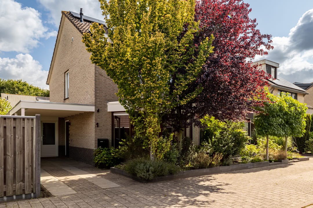 Foto 1 van Donkslagen 1