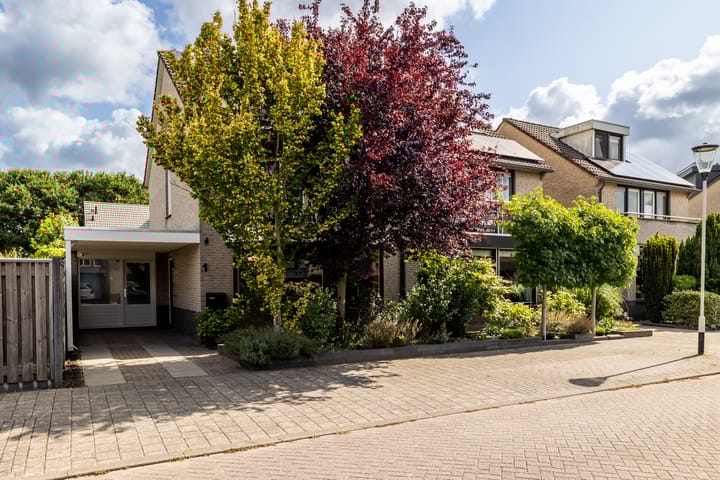 Foto 40 van Donkslagen 1