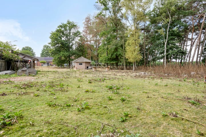 Foto 50 van Lemel 31