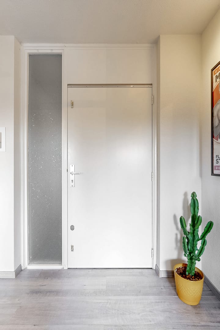 Foto 9 van Tine van Dethstraat 15