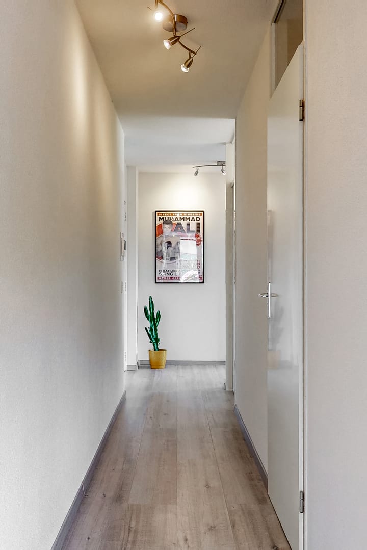 Foto 10 van Tine van Dethstraat 15