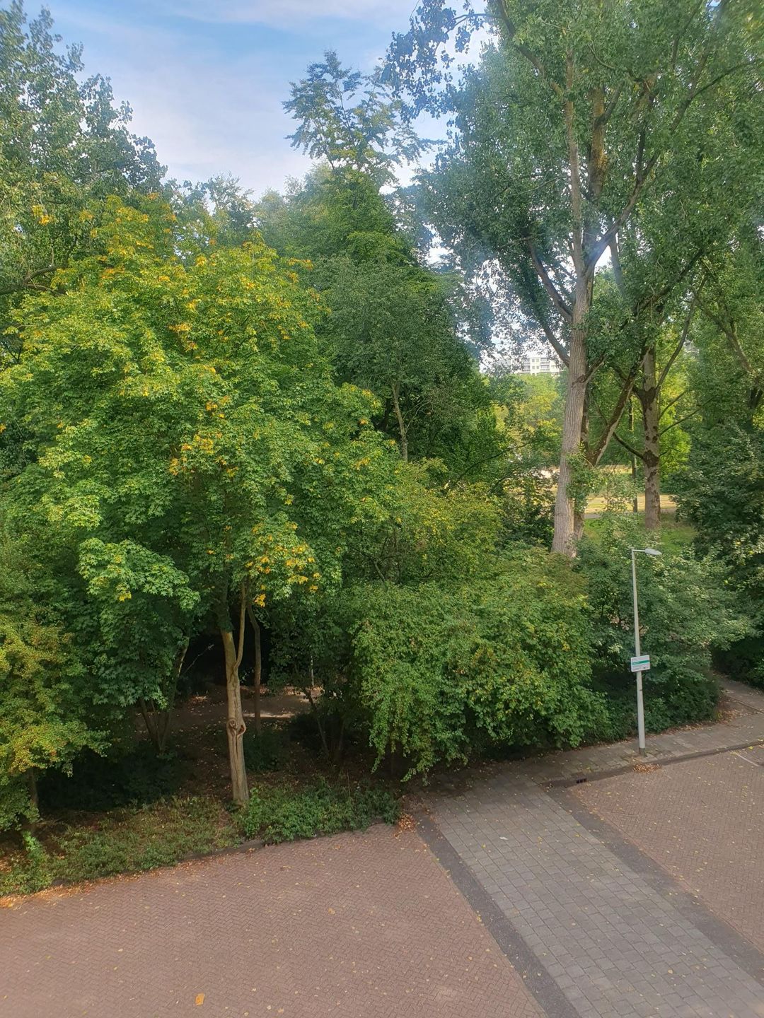 Foto 32 van Ilperveldstraat 142