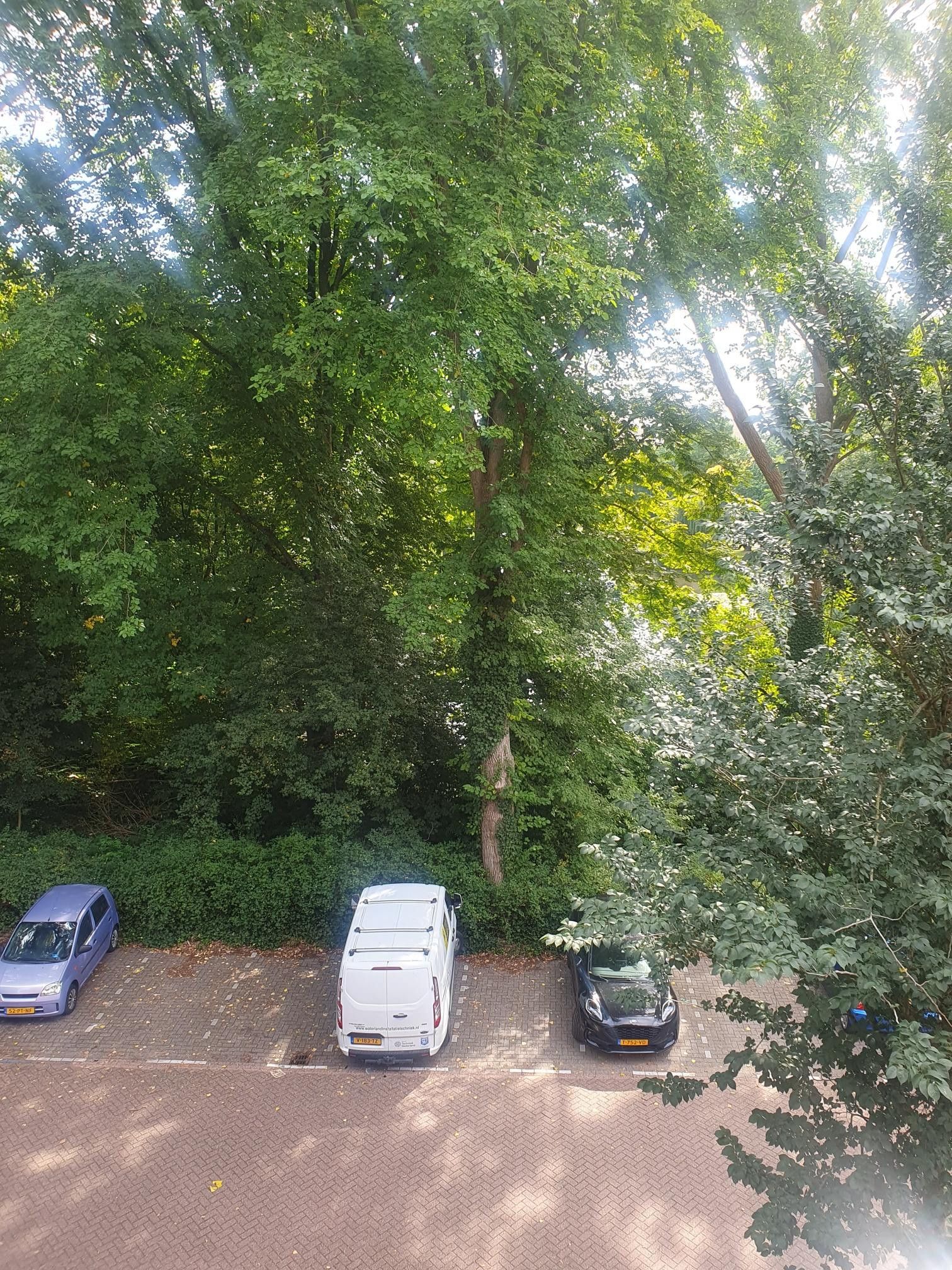 Foto 33 van Ilperveldstraat 142