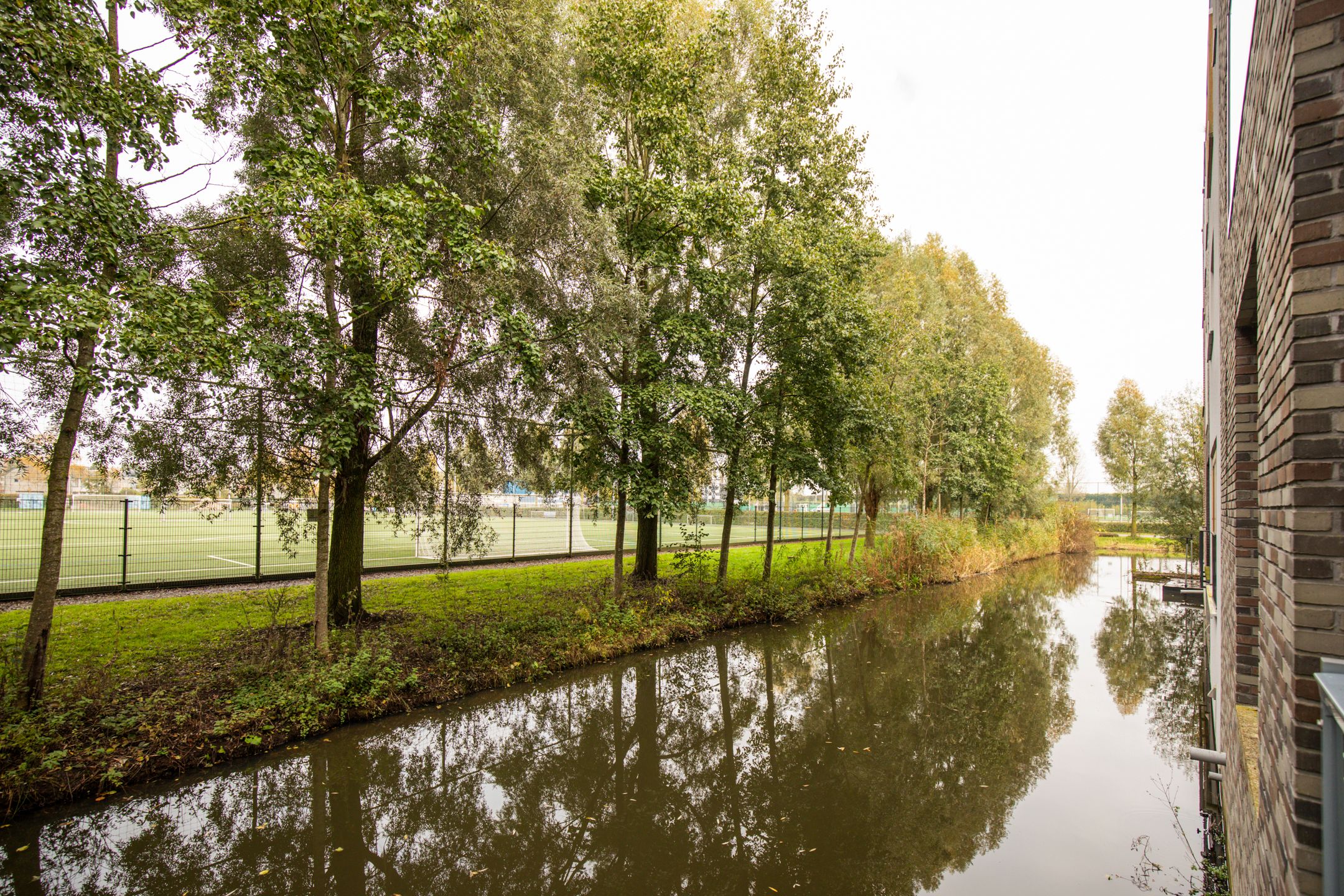 Foto 51 van Livarstraat 71