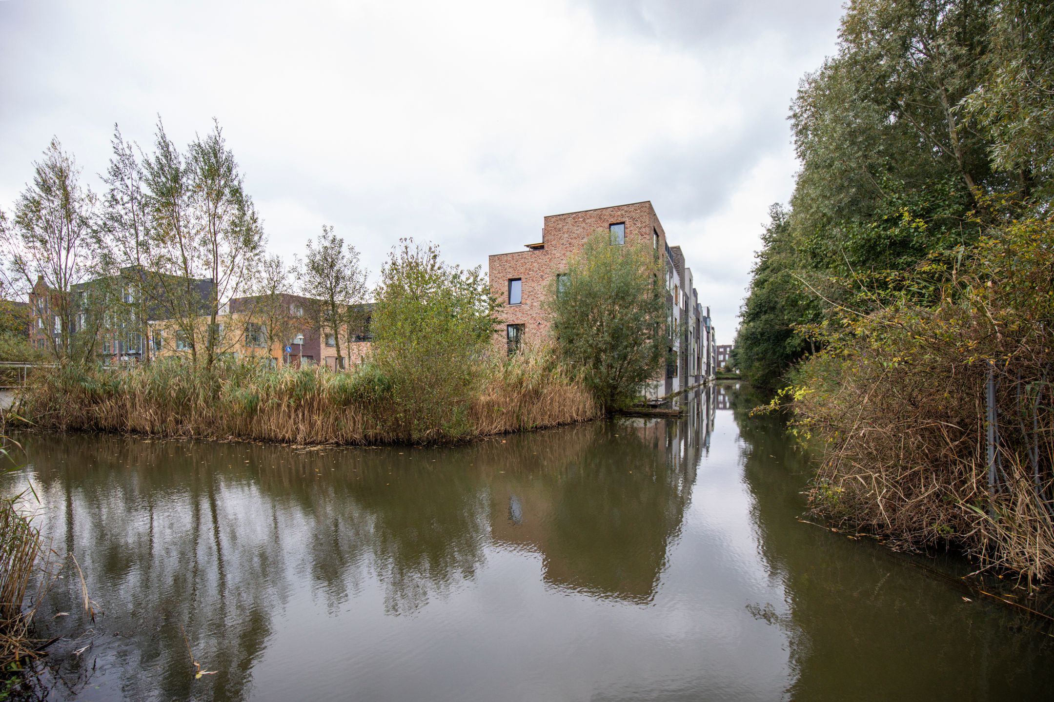 Foto 57 van Livarstraat 71