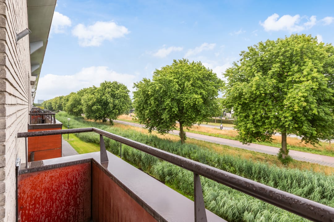 Foto 17 van Schrijverspad 13